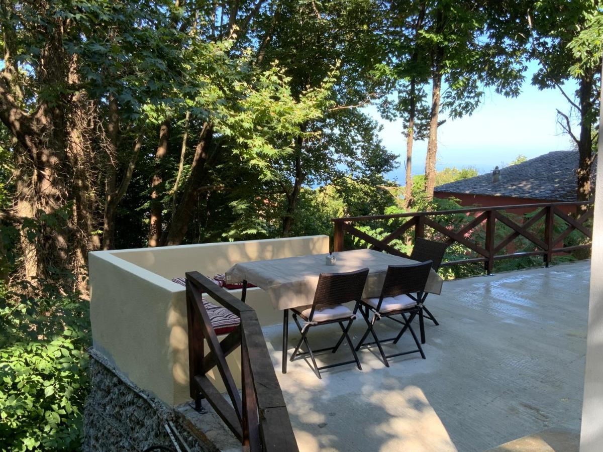 Pelion 7 Lives Villa Tsagkarada Buitenkant foto