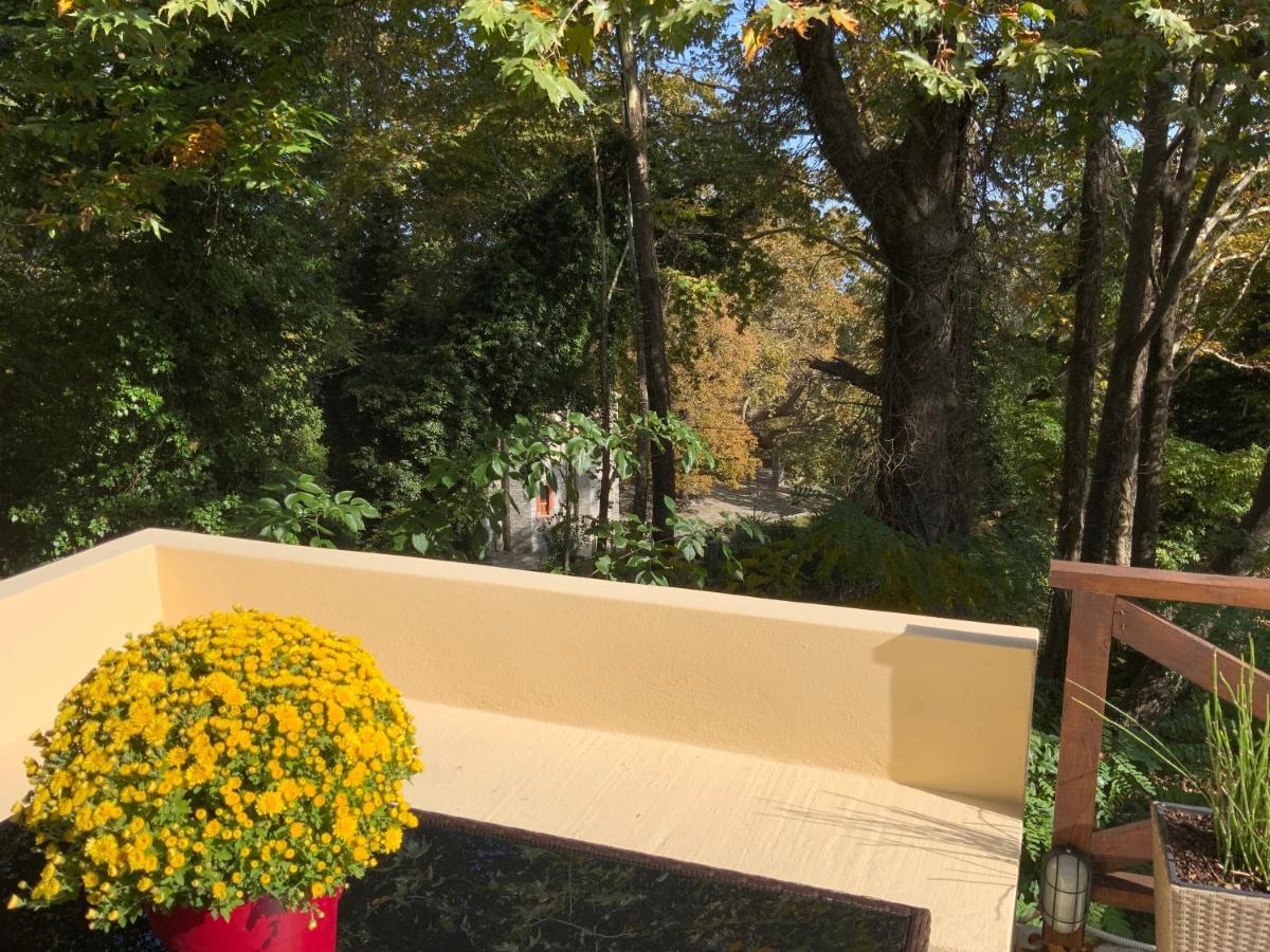 Pelion 7 Lives Villa Tsagkarada Buitenkant foto