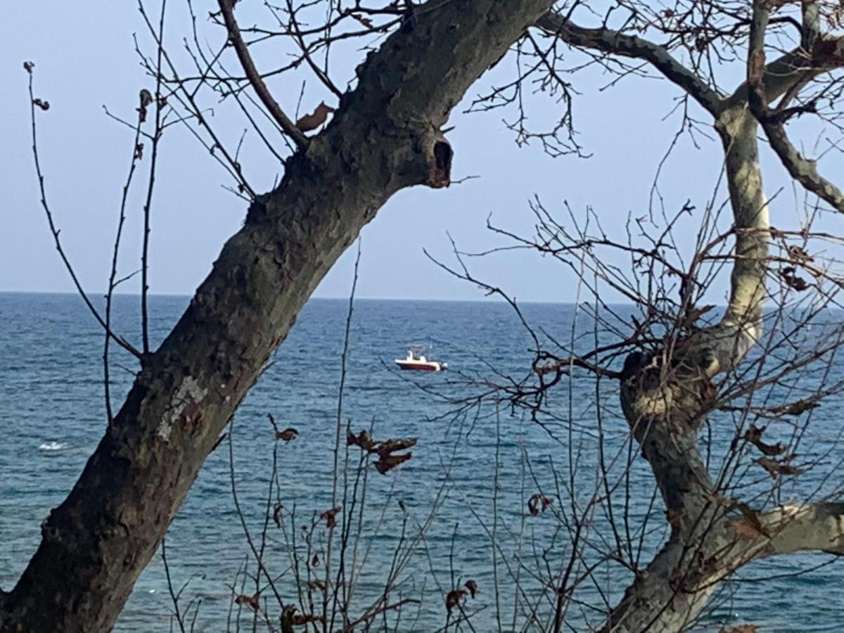 Pelion 7 Lives Villa Tsagkarada Buitenkant foto