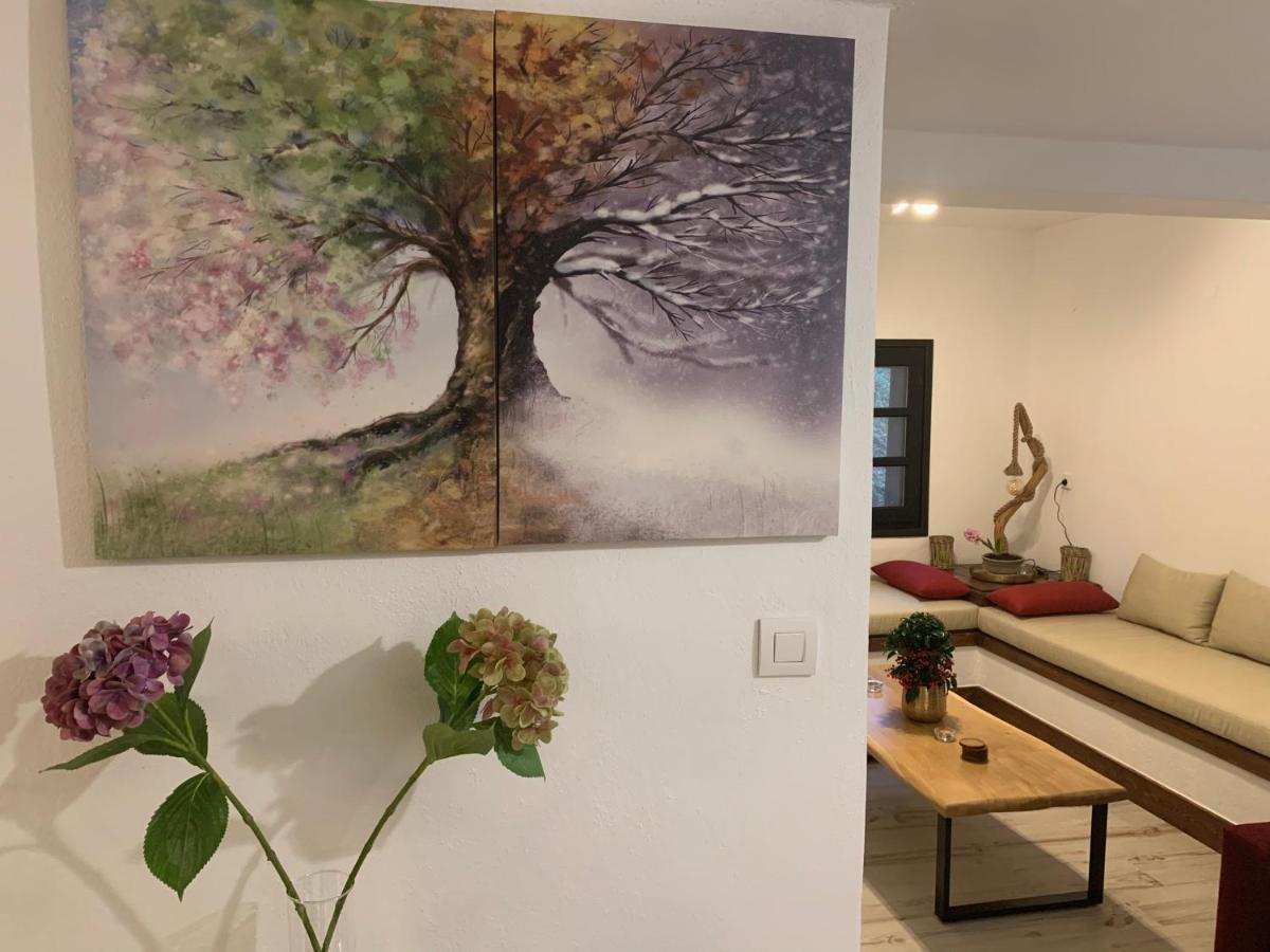 Pelion 7 Lives Villa Tsagkarada Buitenkant foto